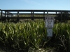 Florida 08 023.jpg